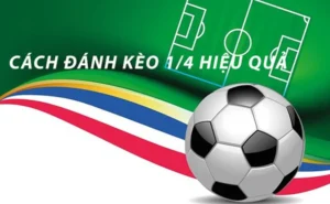 Kinh Nghiệm Soi Kèo Chấp 0.25 Tại 1Gom Dành Cho Cược Thủ Chuyên Nghiệp