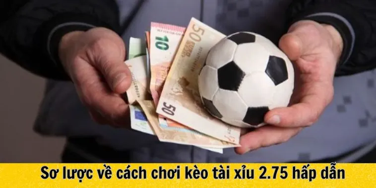Cách Đọc Và Chơi Kèo 2.75 Tại 1Gom Hiệu Quả Nhất
