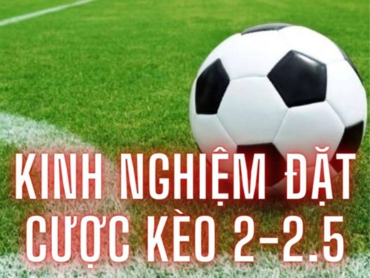 Phân Tích Kèo Tài Xỉu 2.25 Tại 1Gom Dành Cho Người Mới Bắt Đầu