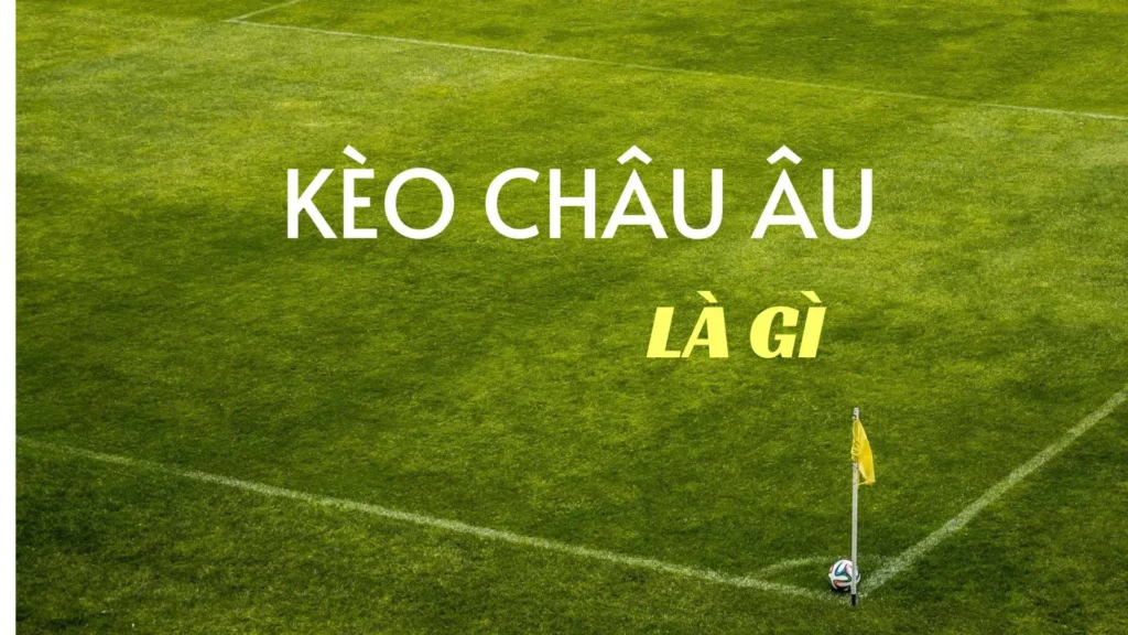 Chiến Thuật Soi Kèo Châu Âu Tại 1Gom Hiệu Quả Từ Chuyên Gia