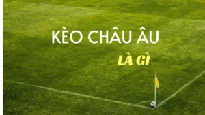 Chiến Thuật Soi Kèo Châu Âu Tại 1Gom Hiệu Quả Từ Chuyên Gia
