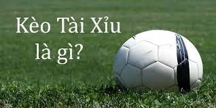 Bí Quyết Đánh Kèo Tài Xỉu Tại 1Gom Luôn Thắng Trong Mọi Trận Đấu