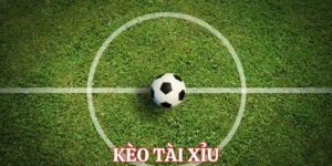 Tuyệt Chiêu Soi Kèo Tài Xỉu Bóng Đá Tại 1Gom Chuẩn Xác Từng Chi Tiết