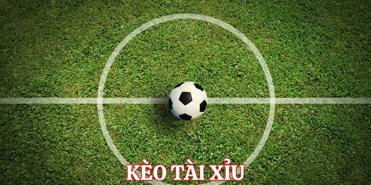 Tuyệt Chiêu Soi Kèo Tài Xỉu Bóng Đá Tại 1Gom Chuẩn Xác Từng Chi Tiết