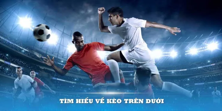 Chiến Thuật Chọn Kèo Trên Kèo Dưới Tại 1Gom Để Tối Ưu Hóa Lãi