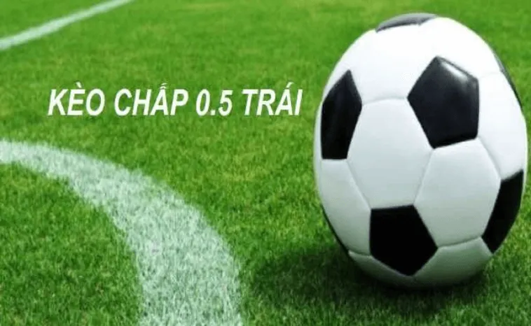 Chiến Thuật Đánh Kèo Chấp 0.5 Tại 1Gom Hiệu Quả Nhất Hiện Nay